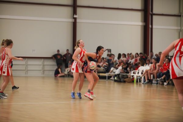 pic35C2F36FC6-230B-DBDC-58FC-BDF7BD3FEDF9.jpg