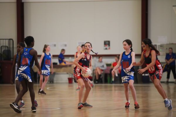 pic6426B8478A-4B74-63D8-F07C-B08D8926A609.jpg